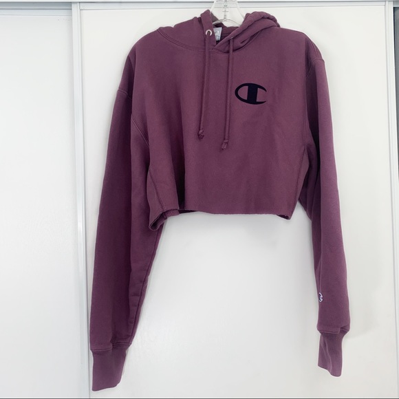 Champion Sweaters - Champion Reverse Weave Cropped Hoodie